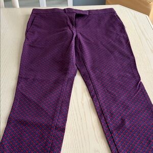 Stylish Purple and Blue Pants